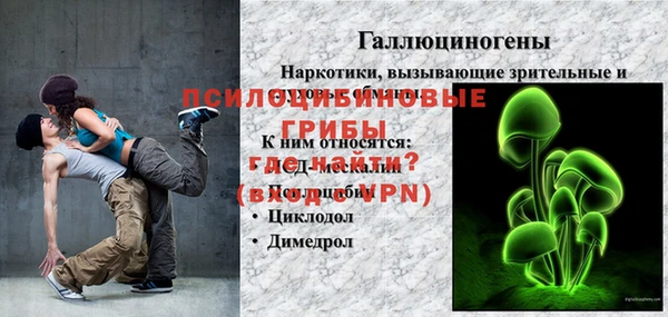 дживик Богородск