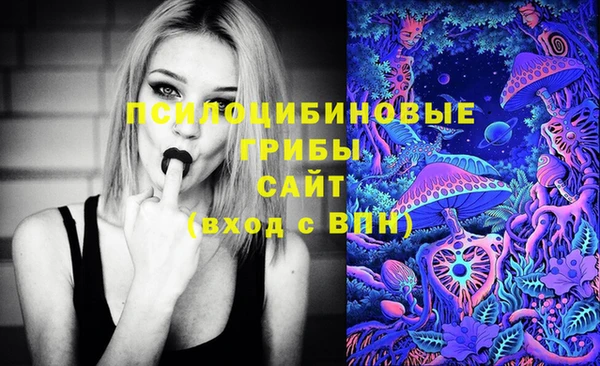 первитин Богданович
