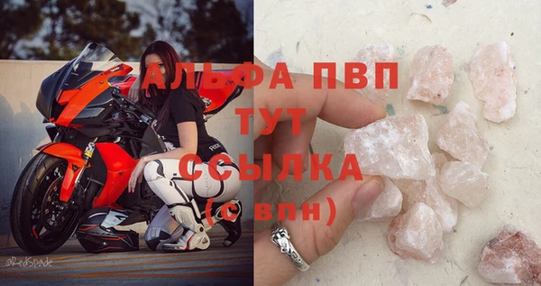 спиды Белокуриха