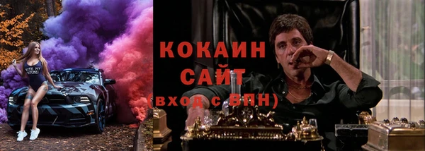первитин Богданович